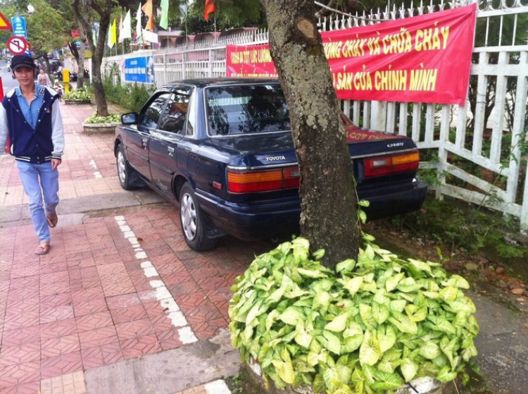 Anh em Camry 87-91 vô đây chơi