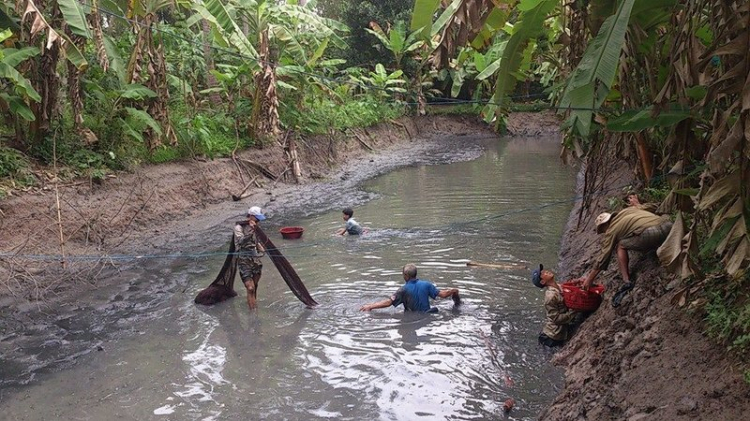 Món Quê: đặc sản Cà Mau ăn tết