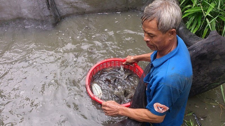 Món Quê: đặc sản Cà Mau ăn tết