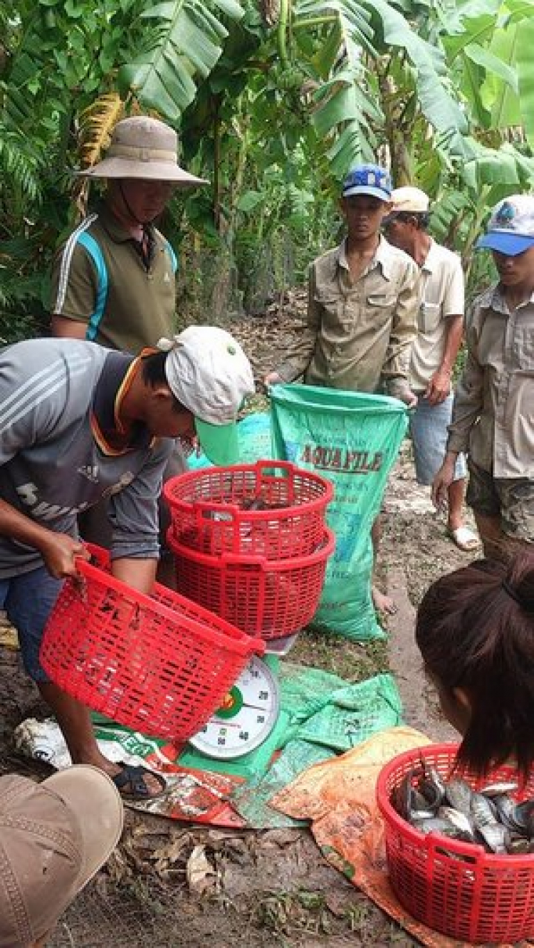 Món Quê: đặc sản Cà Mau ăn tết