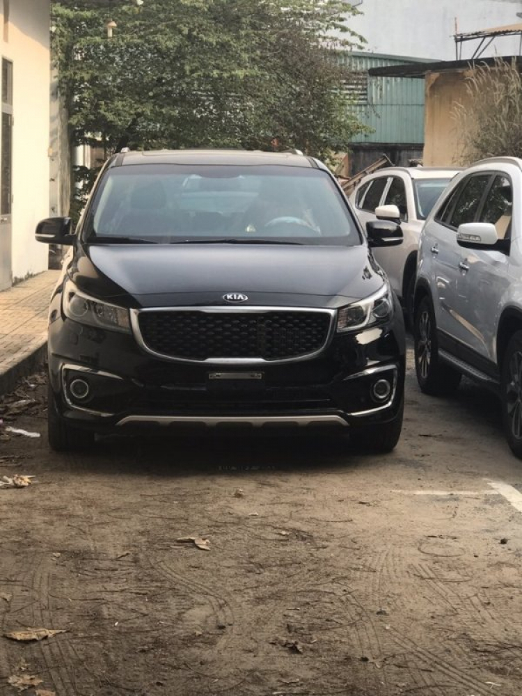 Thuê xe tự lái Sedona Thuê xe tự lái Sedona