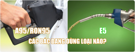 Xang-A95-Vs-E5.jpg