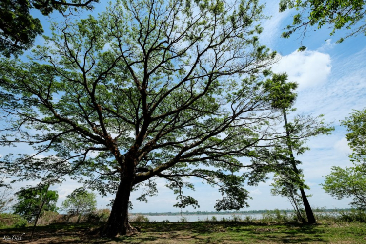 Hành trình Vờ-Cờ-Lờ (Việt-Cam-Lào)