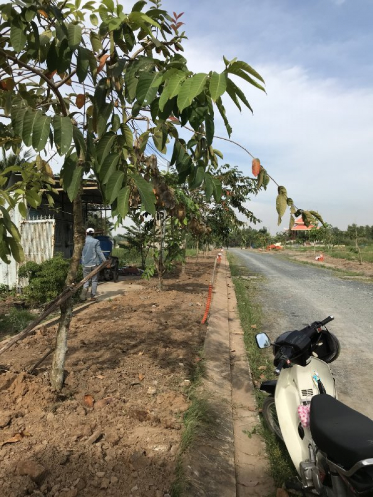 khu vuc Duong Le Van Luong- Nha Be