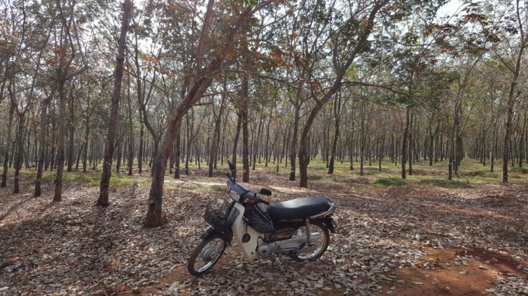 THành lập Hội những người mê và chơi xe Motor Honda LA 250cc THành lập Hội những người mê và chơi xe Motor Honda LA 250cc