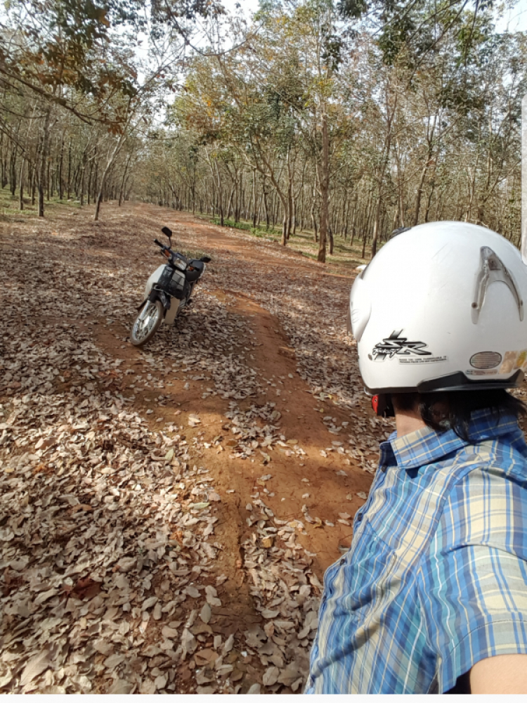 THành lập Hội những người mê và chơi xe Motor Honda LA 250cc THành lập Hội những người mê và chơi xe Motor Honda LA 250cc