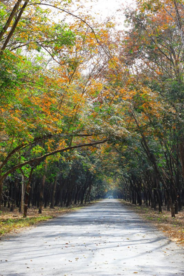 Thớt Photo - Sài Gòn