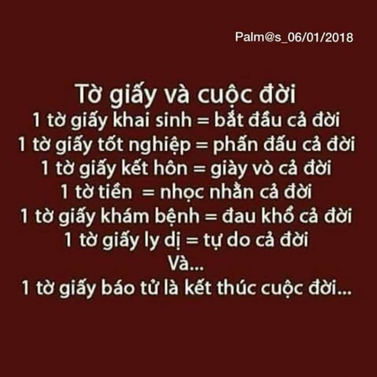 Vui cuối tuần TĐTL