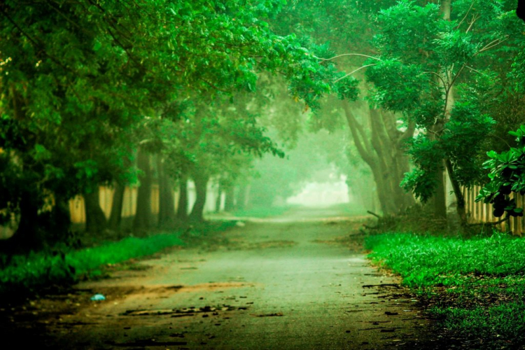 Thớt Photo - Sài Gòn Thớt Photo - Sài Gòn