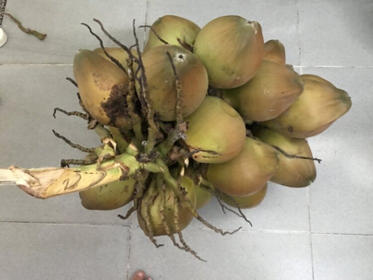 Jolie - Chiếc xe thân thiện Jolie - Chiếc xe thân thiện