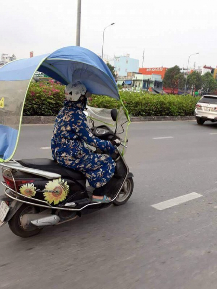Những con đường đẹp nhất Sài Gòn TP.HCM Những con đường đẹp nhất Sài Gòn TP.HCM