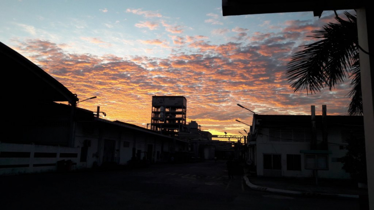 Thớt Photo - Sài Gòn Thớt Photo - Sài Gòn