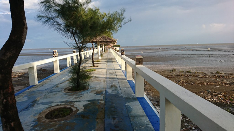 Thớt Photo - Sài Gòn Thớt Photo - Sài Gòn