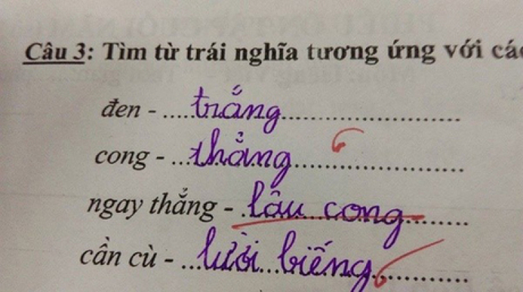 "Văn hóa ngồi oto"? Vớ vẩn?