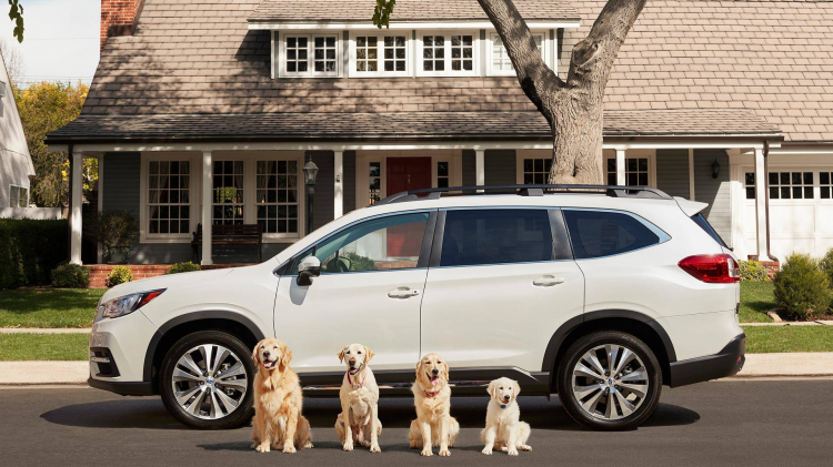 Subaru tung các video quảng cáo xe với nhân vật chính là các chú chó vui nhộn