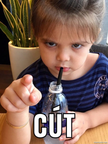 Cut.jpeg