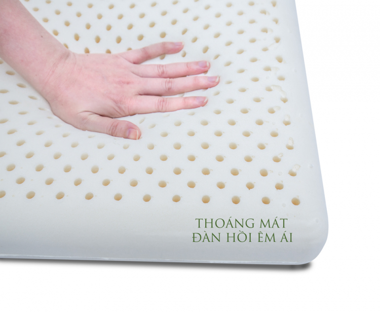 Chăn Drap Gối Nệm Cao Cấp Giá Rẻ