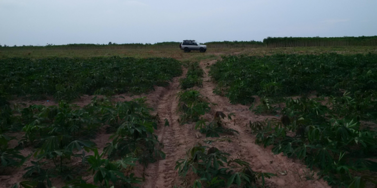 MITSUBISHI PAJERO 1993-2003: CHIA SẺ KINH NGHIỆM - RỦ RÊ PHƯỢT PHIẾT MITSUBISHI PAJERO 1993-2003: CHIA SẺ KINH NGHIỆM - RỦ RÊ PHƯỢT PHIẾT
