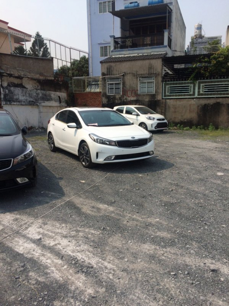 Nên mua cerato , mazda 2 , cruze ltz , elantra hay honda city