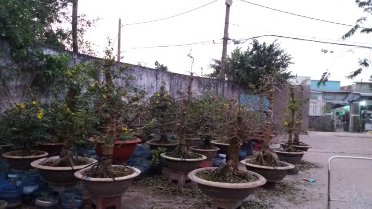Jolie - Chiếc xe thân thiện Jolie - Chiếc xe thân thiện