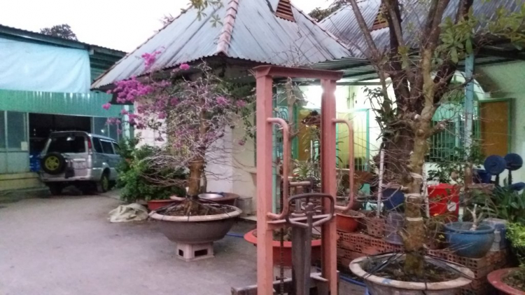 Jolie - Chiếc xe thân thiện Jolie - Chiếc xe thân thiện