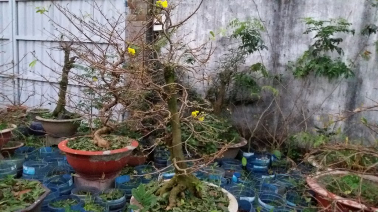 Jolie - Chiếc xe thân thiện Jolie - Chiếc xe thân thiện