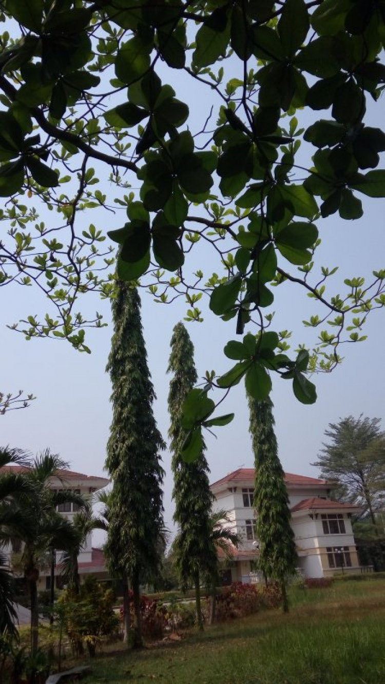 Jolie - Chiếc xe thân thiện Jolie - Chiếc xe thân thiện