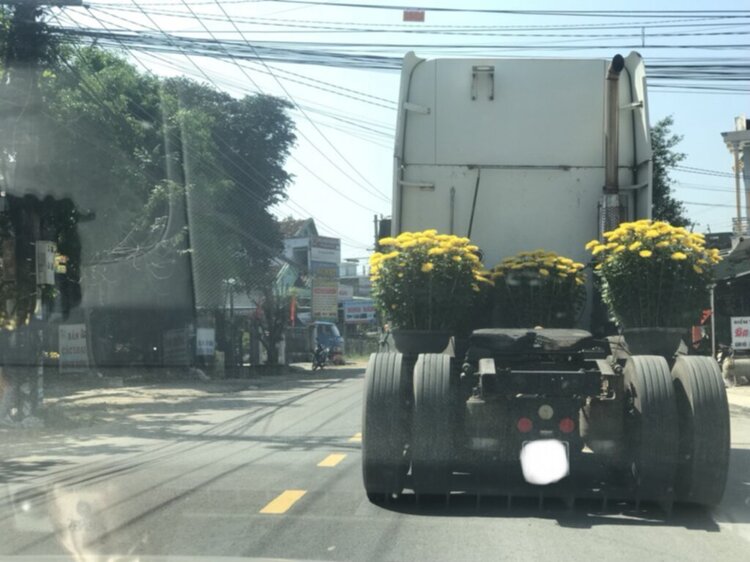 28 tết ai vê miền trung mại dô 28 tết ai vê miền trung mại dô