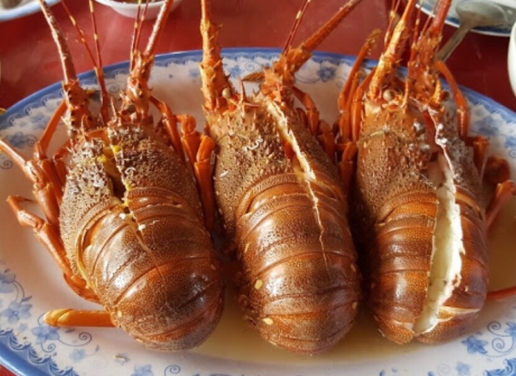 Địa điểm ở Phú yên? Địa điểm ở Phú yên?