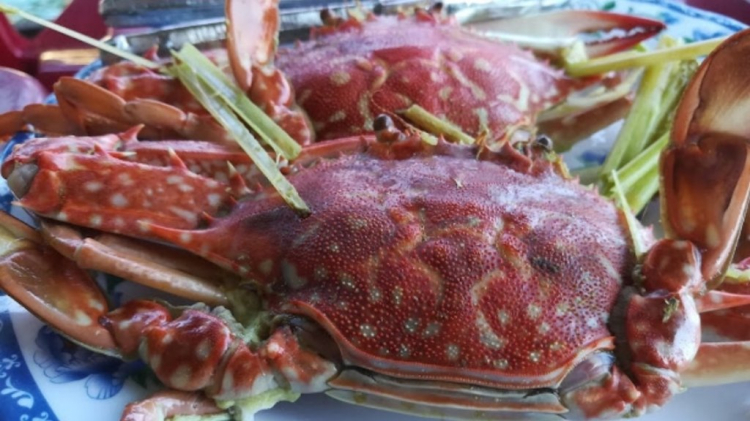 Địa điểm ở Phú yên? Địa điểm ở Phú yên?