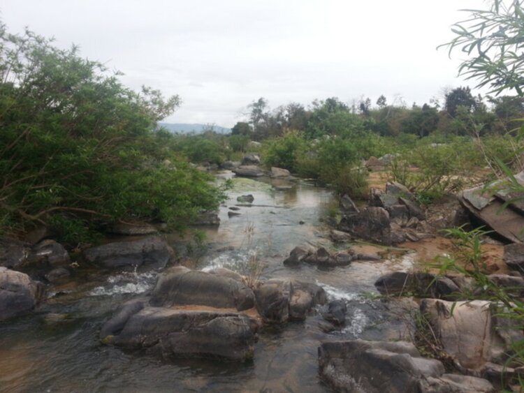 Jolie - Trên những nẻo đường