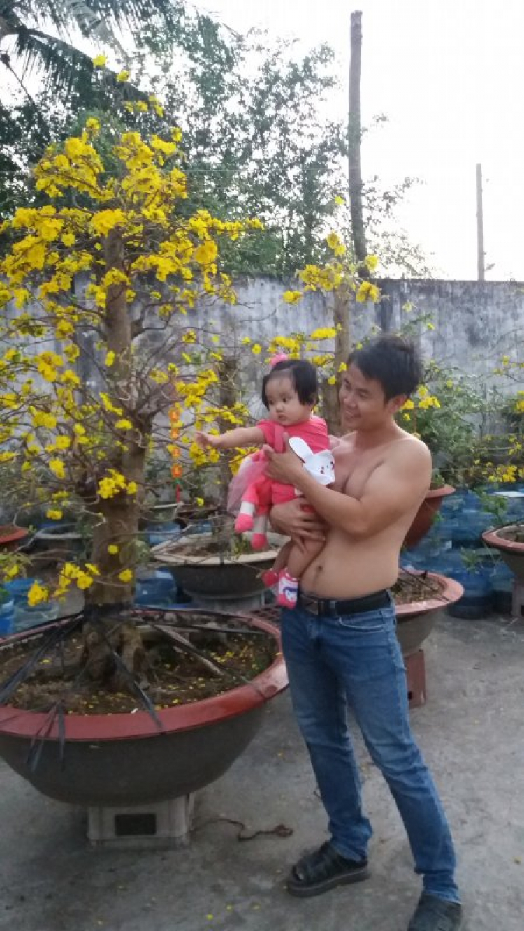 Jolie - Chiếc xe thân thiện Jolie - Chiếc xe thân thiện