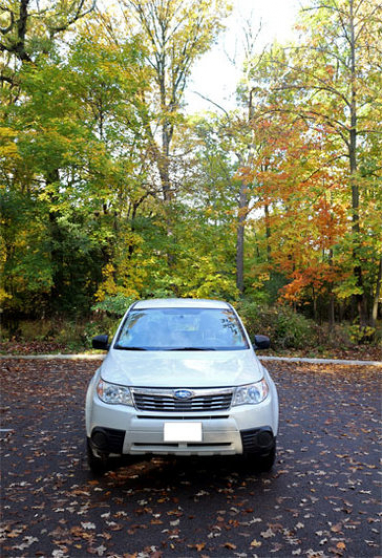 Viết lung tung với Forester :)