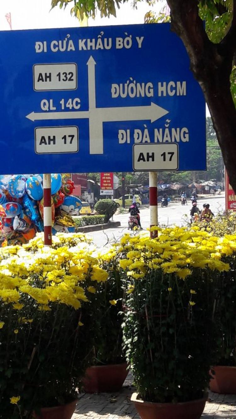 hành trình 8 ngày tết .