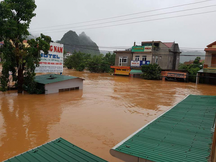 hành trình 8 ngày tết .