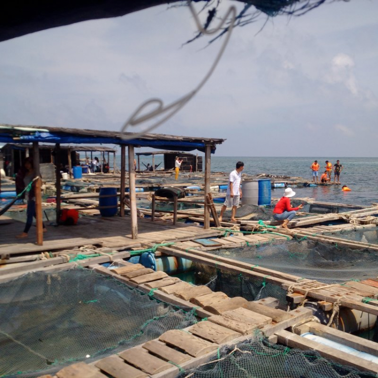 Jolie - Chiếc xe thân thiện Jolie - Chiếc xe thân thiện
