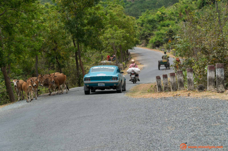 Các cung đường hành trình The Road To Saigon đã đi qua