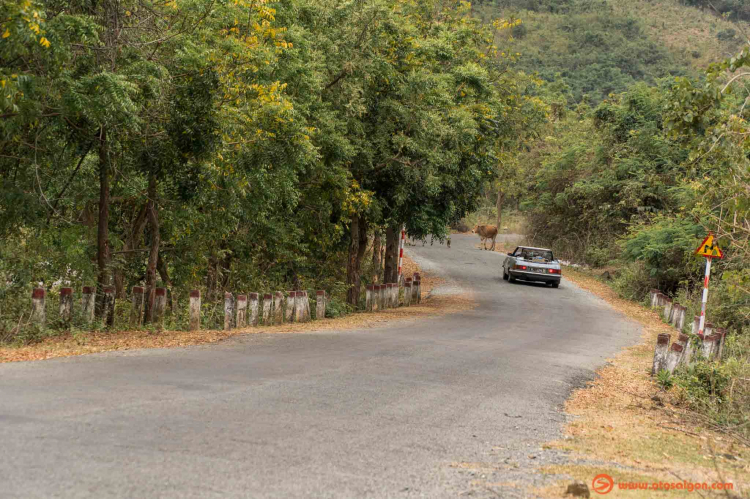 Các cung đường hành trình The Road To Saigon đã đi qua