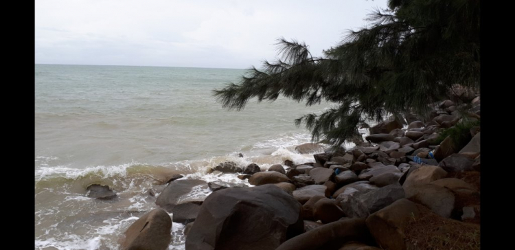 Jolie - Chiếc xe thân thiện Jolie - Chiếc xe thân thiện
