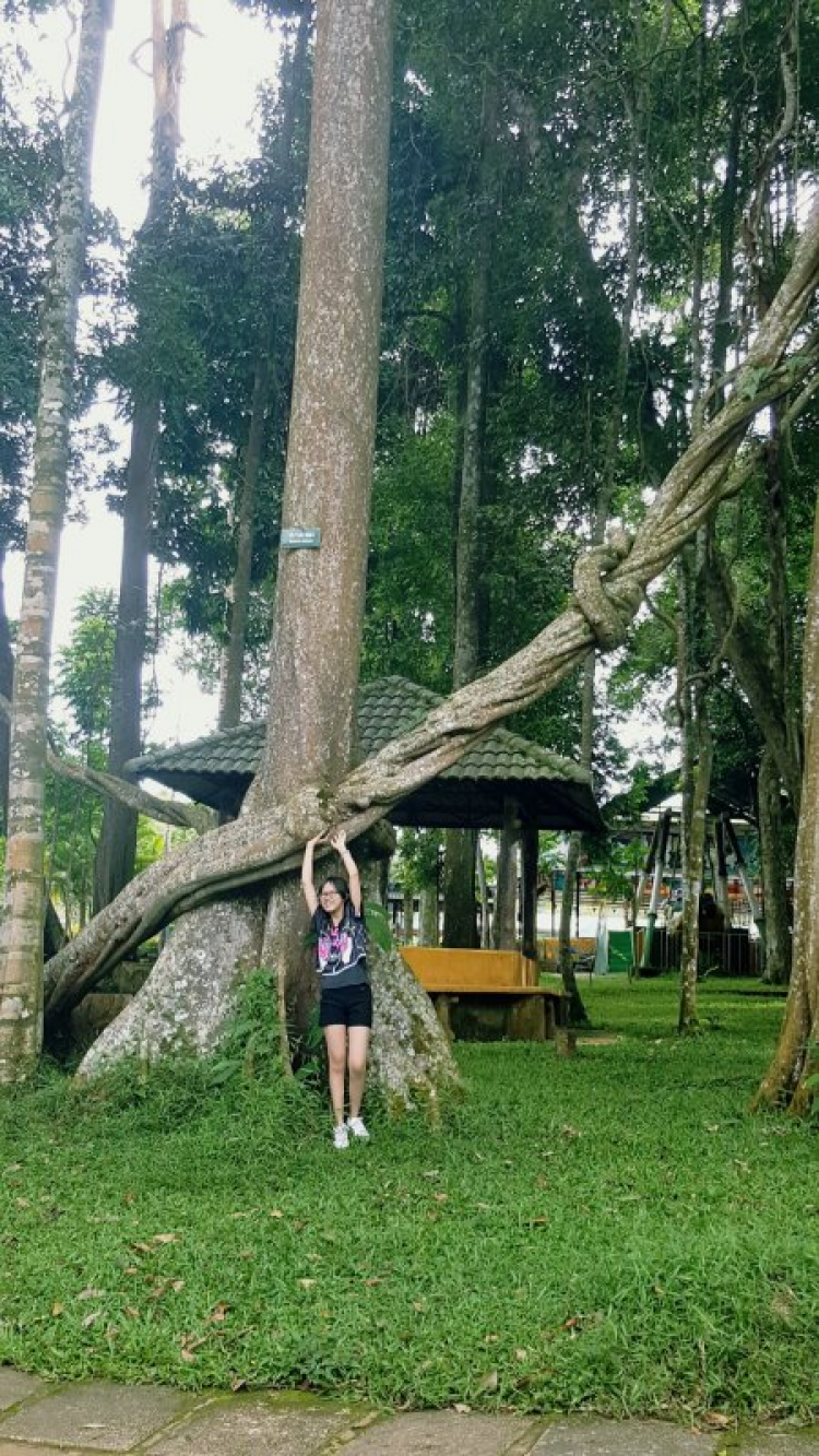 Tiếp Nhật ký hành trình với chó già E60-530i - Ủ mưu trip xiên Bắc Vịt Tết 2018 Tiếp Nhật ký hành trình với chó già E60-530i - Ủ mưu trip xiên Bắc Vịt Tết 2018