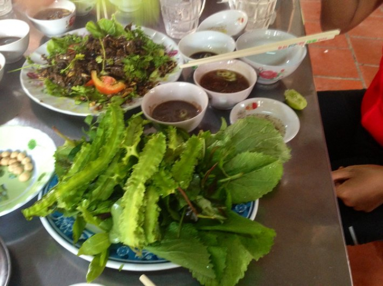 BFC: Xóm nhỏ xe đạp! BFC: Xóm nhỏ xe đạp!