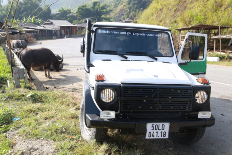 Trực tiếp: Đón đoàn Merecedes-Benz Offroad từ Đức đến Việt Nam Trực tiếp: Đón đoàn Merecedes-Benz Offroad từ Đức đến Việt Nam