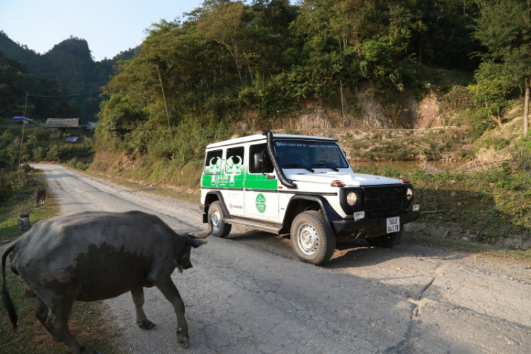 Trực tiếp: Đón đoàn Merecedes-Benz Offroad từ Đức đến Việt Nam