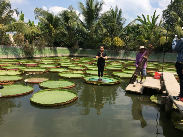 Tình hình Phà Vàm Cống tết năm nay