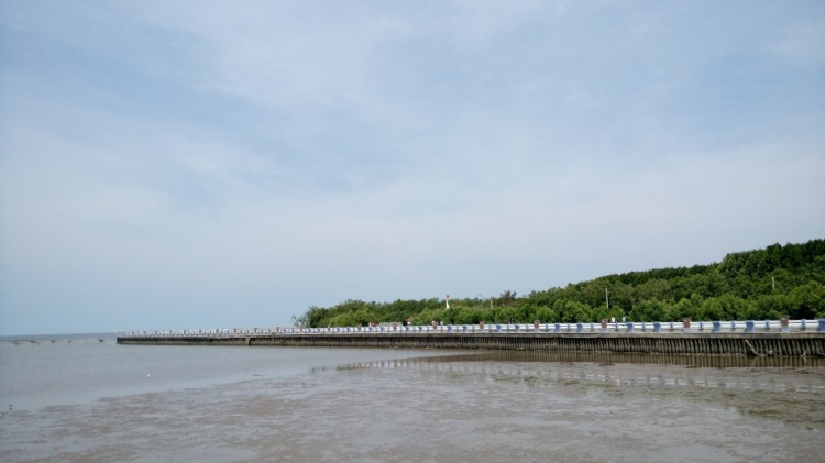 Đường Năm căn Đất mũi Đường Năm căn Đất mũi
