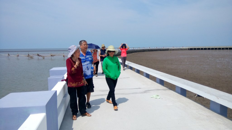 Đường Năm căn Đất mũi Đường Năm căn Đất mũi