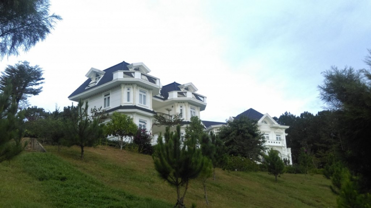 Tổng hợp các thớt về DALAT từ A đến Z Tổng hợp các thớt về DALAT từ A đến Z