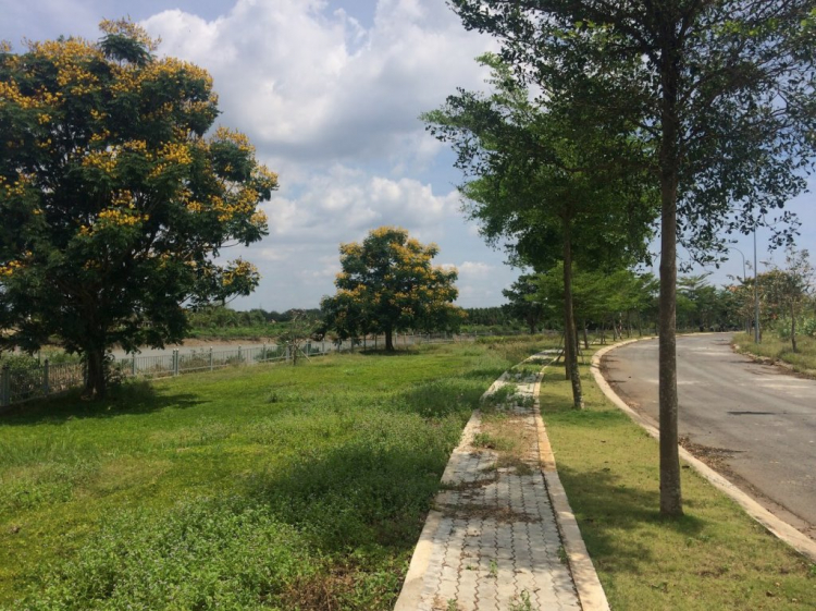 Đất Phú Hữu - Quận 9 Đất Phú Hữu - Quận 9