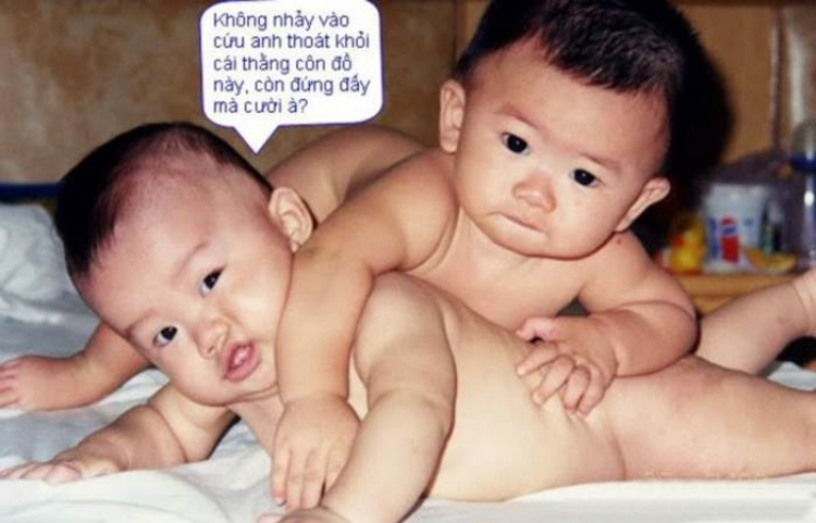 Jolie - Chiếc xe thân thiện Jolie - Chiếc xe thân thiện