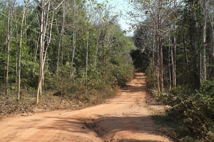 Óp Trung Du Đạo